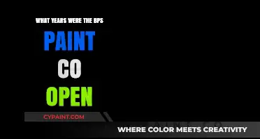 Uncovering the Operational Years of BPS Paint Co