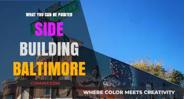 Baltimore's Hidden Canvas: Exploring Street Art and Murals