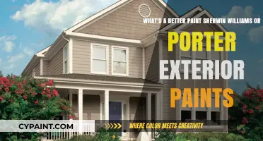 Choosing the Best Exterior Paint: Sherwin-Williams vs. Porter Paints Showdown