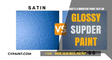 Unveiling the Secrets: Satin vs. Glossy Super Paint Showdown