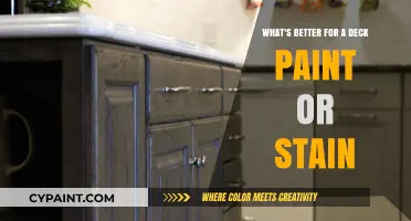 Paint or Stain: Which is Best for Your Deck?