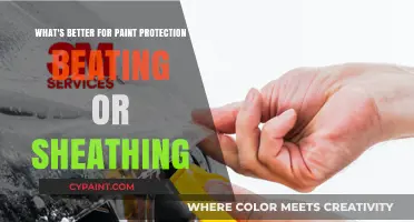 Beading or Sheathing: Which Offers Better Paint Protection?