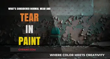 Understanding Paint Wear and Tear: What's Normal?