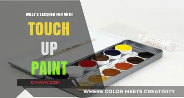 Lacquer's Role in Touch-Up Paint: Enhancing Durability and Finish