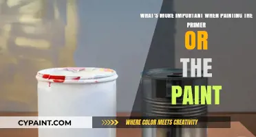 Primer vs. Paint: Which Matters More in Your Painting Project?