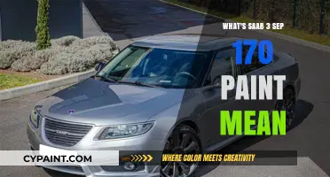 Understanding Saab 3 Sep 170 Paint Code: Meaning and Applications