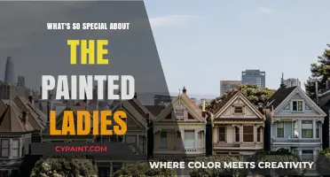 The Painted Ladies: Unveiling the Charm of San Francisco's Iconic Homes