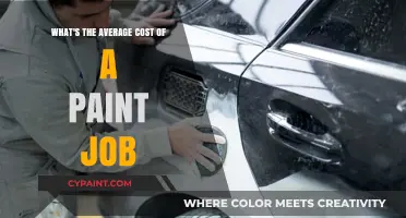 The True Cost of Painting: Average Spend Revealed