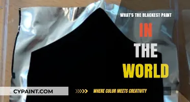 Exploring Vantablack: The World's Blackest Paint and Its Applications