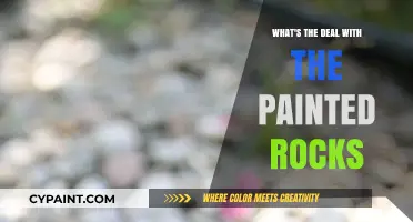 Painted Rocks Trend: Uncovering the Creative Craze and Its Meaning