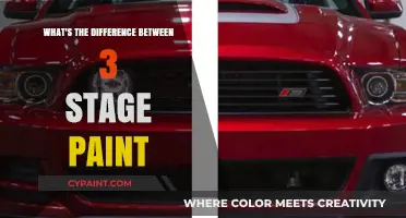 Understanding 3-Stage Paint: Key Differences and Application Techniques