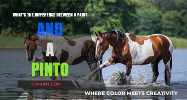 Exploring Equine Diversity: Paint vs. Pinto Horses