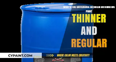 Decoding the Difference: Automotive vs. Regular Paint Thinner
