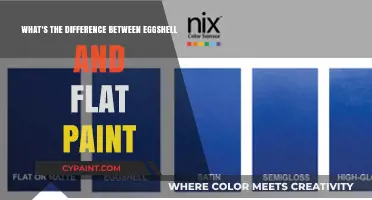 Eggshell vs. Flat Paint: Know the Finish Difference
