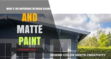 Matte vs. Eggshell Paint: Understanding the Finish Difference