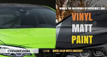 Unveiling the Distinctions: Matt vs. Vinyl Matt Paint