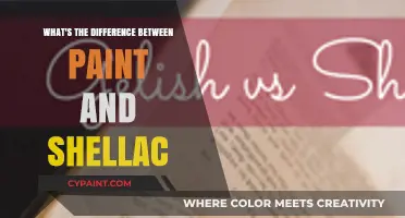 Paint vs. Shellac: Understanding the Key Differences and Best Uses