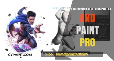 Exploring the Key Differences Between Paint EX and Paint Pro