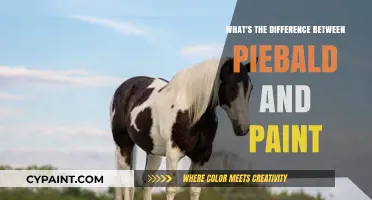 Piebald vs. Paint: Understanding Coat Patterns in Horses and Animals
