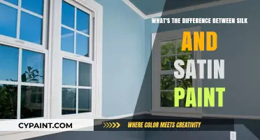 Explore Silk and Satin Paint Finishes: Know the Difference