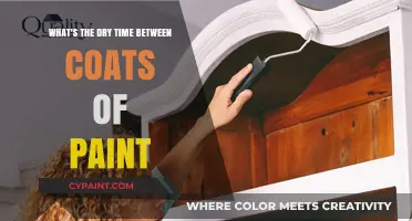 How Long to Wait Between Coats of Paint?