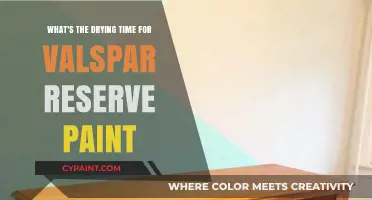 Valspar Reserve Paint: How Long Does It Take to Dry?
