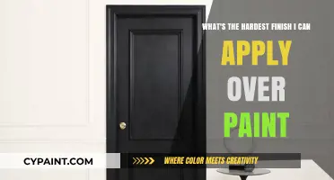 Mastering the Toughest Paint Finish: A Comprehensive Guide