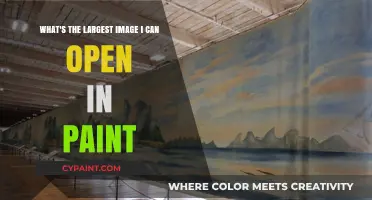 Exploring Paint's Limits: The Quest for the Largest Image