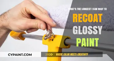 Optimal Timing for Recoating Glossy Paint: A Comprehensive Guide