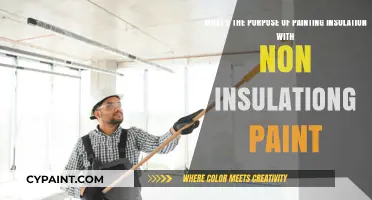 Enhancing Aesthetics and Protection: Painting Insulation with Non-Insulating Paint
