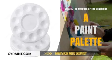 Unveiling the Mystery: The Purpose of a Paint Palette's Center