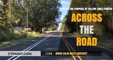 Decoding Road Safety: The Significance of Yellow Lines