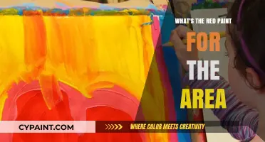 Understanding the Purpose of Red Paint in Designated Areas