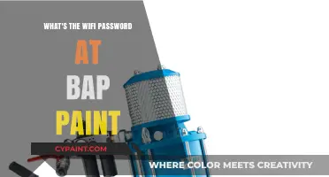 Unlocking Connectivity: Discovering Bap Paint's Wifi Password Easily