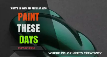 The Rise of Flat Auto Paint: A Modern Aesthetic Trend