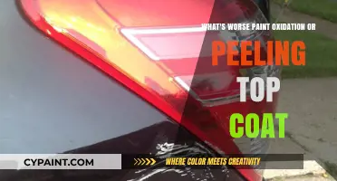 Paint Oxidation vs. Peeling Top Coat: Which Is Worse?