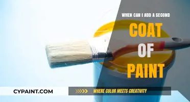 How Long to Wait Before Applying a Second Coat of Paint