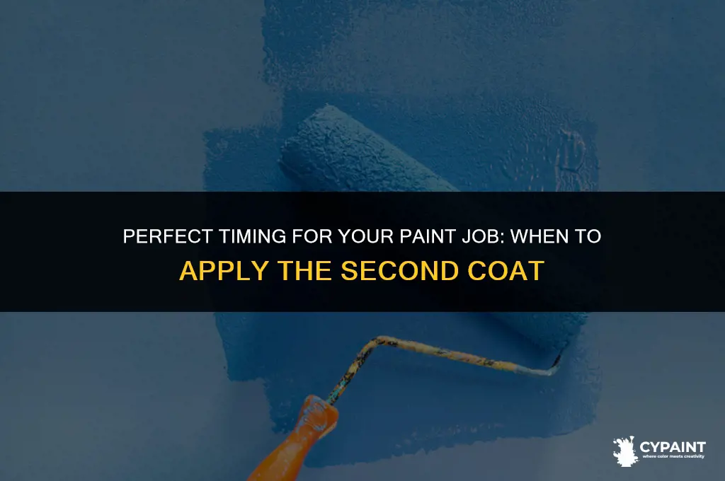 when can i apply 2nd coat of paint