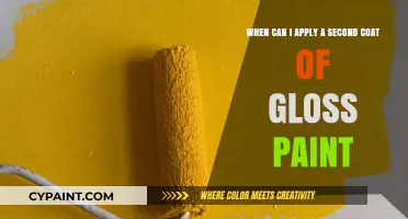 Enhancing Your Walls: The Perfect Timing for a Second Gloss Coat