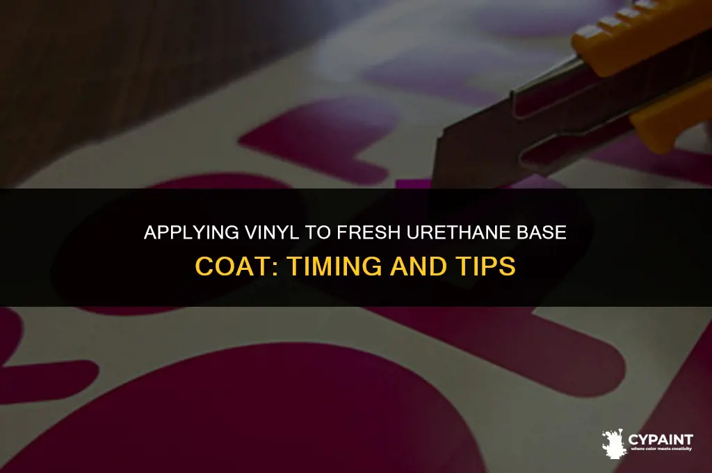 when can i apply vinyl to newly painted urerhane basecoat
