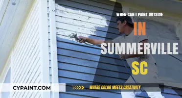 Ideal Outdoor Painting Conditions in Summerville, SC: A Guide