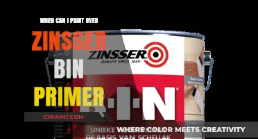 Ready for a Fresh Coat? Painting Over Zinsser BIN Primer Explained