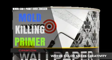 Primer Application: Painting Over Zinsser Mold Killing Primer