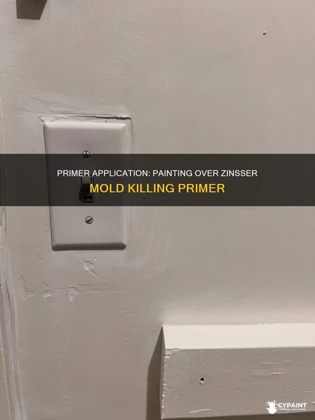 when can i paint over zinsser mold killing primer
