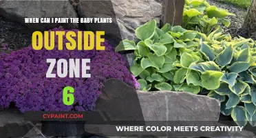 Spring Gardening Guide: When to Paint Baby Plants Outside in Zone 6