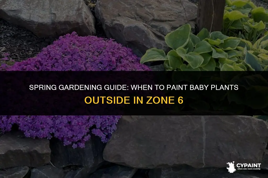 when can i paint the baby plants outside zone 6