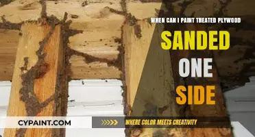 Best Time to Paint Treated Plywood: Expert Tips
