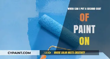 Mastering Paint Layers: The Optimal Time for a Second Coat