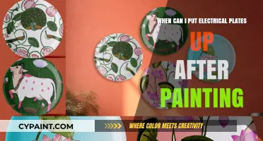 Electrical Plates: Post-Painting Installation Tips