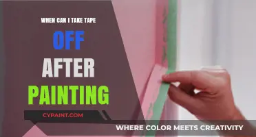 Mastering the Art of Tape Removal Post-Painting: A Comprehensive Guide